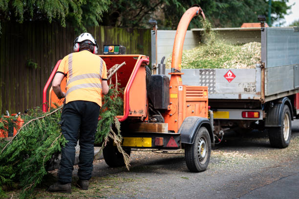 Best Aeration Services  in The Hammocks, FL